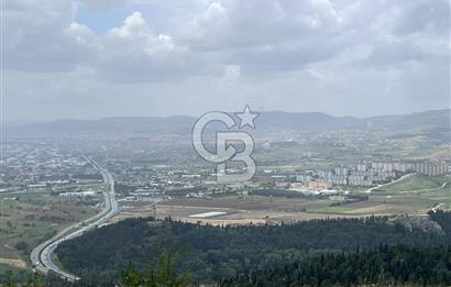 BALIKESİR ALTIEYLÜL AYVATLAR'DA MUHTEŞEM MANZARALI TARLA! 8563m2