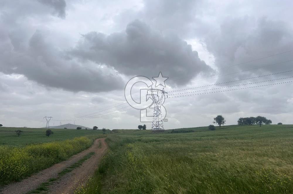 BALIKESİR KARESİ NAİPLİ'DE YOLA CEPHE, EMSALSİZ TARLA! 21.330 m2