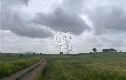 BALIKESİR KARESİ NAİPLİ'DE YOLA CEPHE, EMSALSİZ TARLA! 21.330 m2