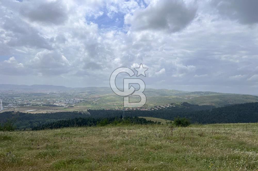 BALIKESİR ALTIEYLÜL AYVATLAR'DA MUHTEŞEM MANZARALI TARLA! 8563m2