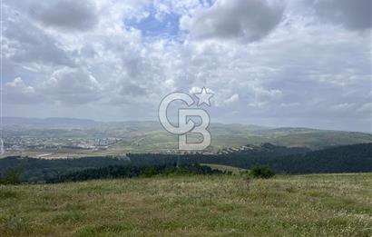 BALIKESİR ALTIEYLÜL AYVATLAR'DA MUHTEŞEM MANZARALI TARLA! 8563m2