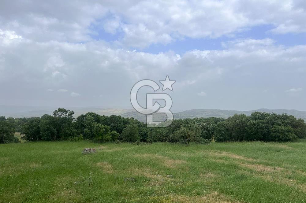 BALIKESİR İVRİNDİ GÖKÇEYAZI'DA HARİKA LOKASYONDA TARLA! 15.950m2