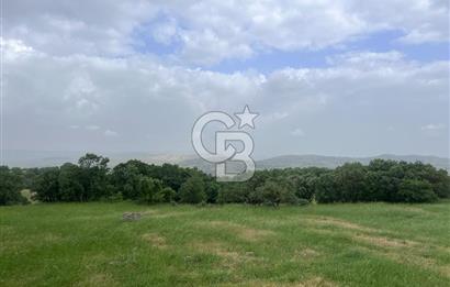 BALIKESİR İVRİNDİ GÖKÇEYAZI'DA HARİKA LOKASYONDA TARLA! 15.950m2