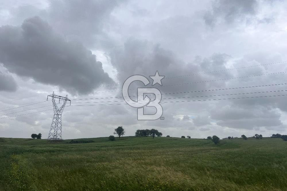 BALIKESİR KARESİ NAİPLİ'DE YOLA CEPHE, EMSALSİZ TARLA! 21.330 m2