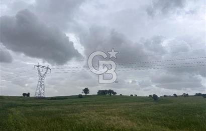BALIKESİR KARESİ NAİPLİ'DE YOLA CEPHE, EMSALSİZ TARLA! 21.330 m2
