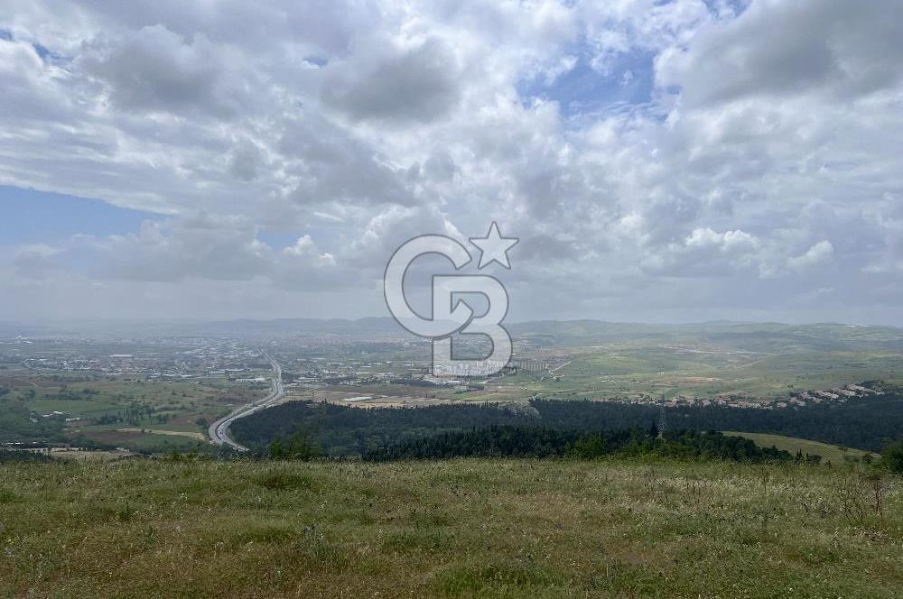 BALIKESİR ALTIEYLÜL AYVATLAR'DA MUHTEŞEM MANZARALI TARLA! 8563m2