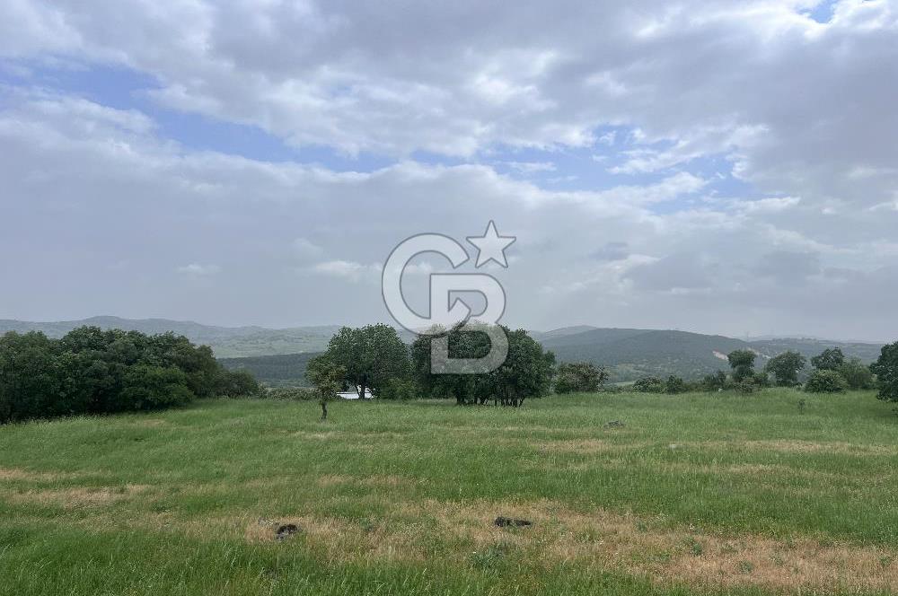 BALIKESİR İVRİNDİ GÖKÇEYAZI'DA HARİKA LOKASYONDA TARLA! 15.950m2