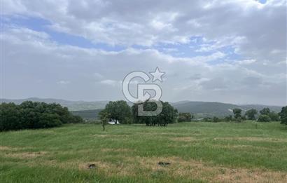 BALIKESİR İVRİNDİ GÖKÇEYAZI'DA HARİKA LOKASYONDA TARLA! 15.950m2