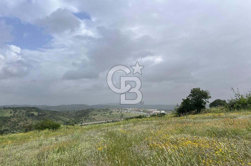 BALIKESİR ALTIEYLÜL DEREKÖY'DE KADASTRO YOLU OLAN TARLA! 7.593M2