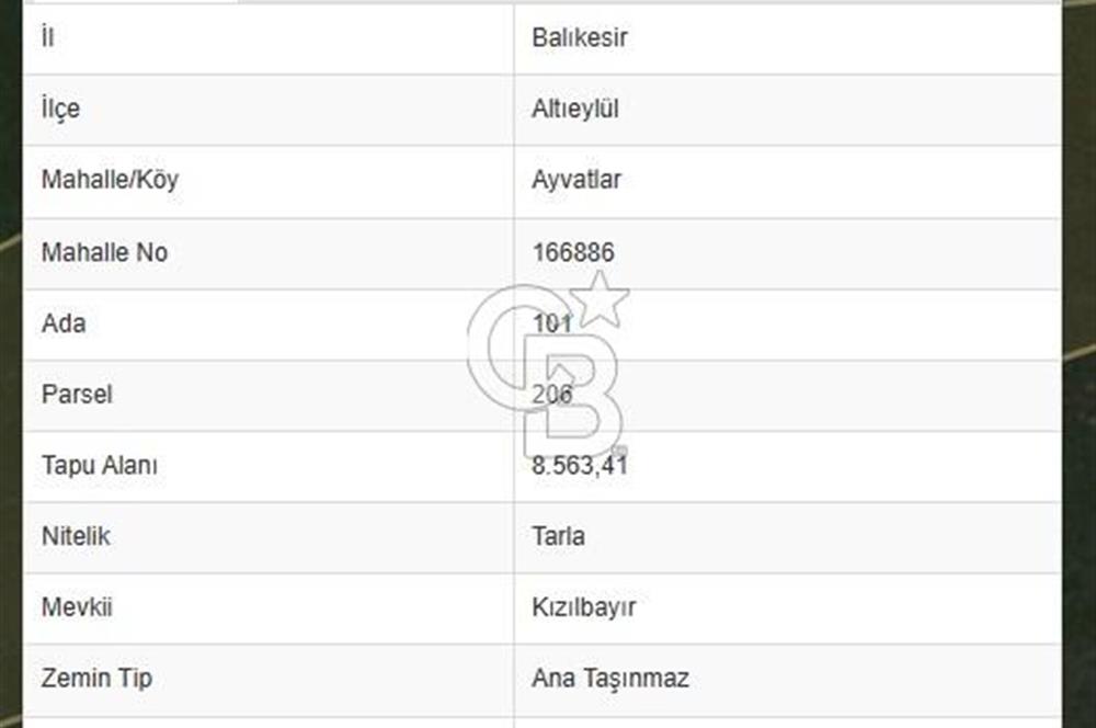 BALIKESİR ALTIEYLÜL AYVATLAR'DA MUHTEŞEM MANZARALI TARLA! 8563m2