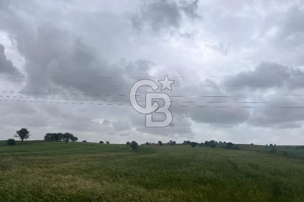 BALIKESİR KARESİ NAİPLİ'DE YOLA CEPHE, EMSALSİZ TARLA! 21.330 m2