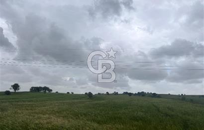 BALIKESİR KARESİ NAİPLİ'DE YOLA CEPHE, EMSALSİZ TARLA! 21.330 m2