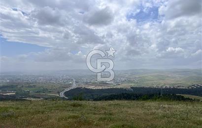 BALIKESİR ALTIEYLÜL AYVATLAR'DA MUHTEŞEM MANZARALI TARLA! 8563m2