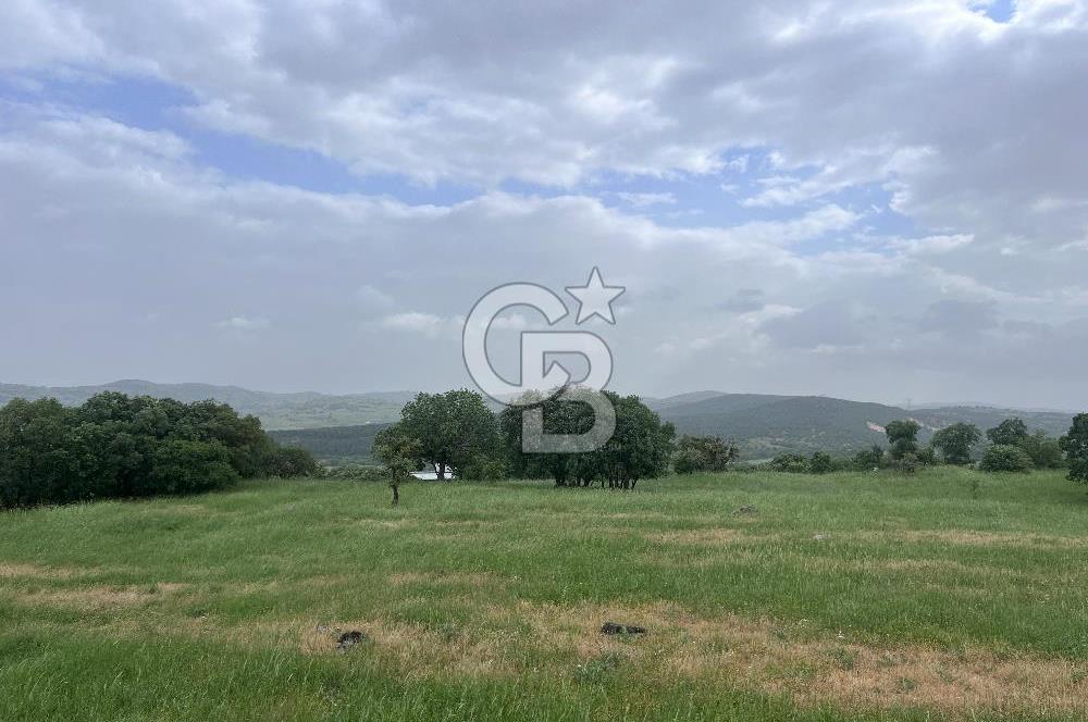 BALIKESİR İVRİNDİ GÖKÇEYAZI'DA HARİKA LOKASYONDA TARLA! 15.950m2