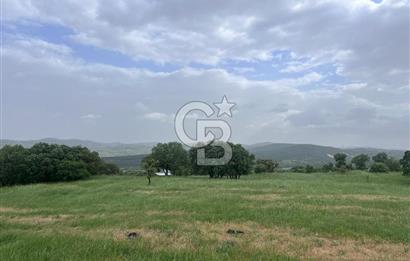BALIKESİR İVRİNDİ GÖKÇEYAZI'DA HARİKA LOKASYONDA TARLA! 15.950m2