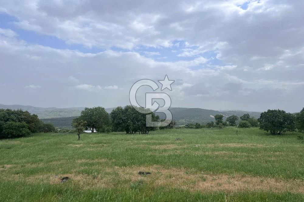 BALIKESİR İVRİNDİ GÖKÇEYAZI'DA HARİKA LOKASYONDA TARLA! 15.950m2