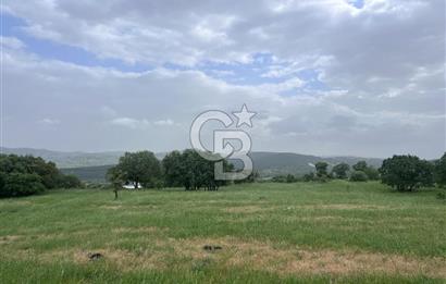 BALIKESİR İVRİNDİ GÖKÇEYAZI'DA HARİKA LOKASYONDA TARLA! 15.950m2