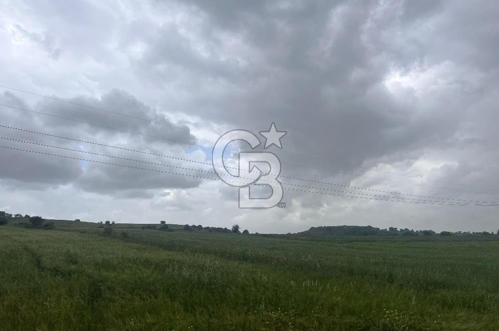 BALIKESİR KARESİ NAİPLİ'DE YOLA CEPHE, EMSALSİZ TARLA! 21.330 m2