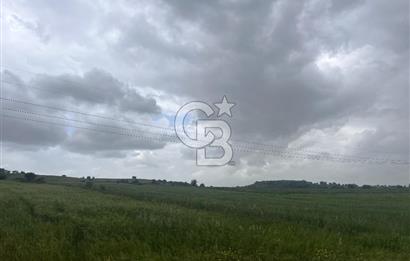 BALIKESİR KARESİ NAİPLİ'DE YOLA CEPHE, EMSALSİZ TARLA! 21.330 m2