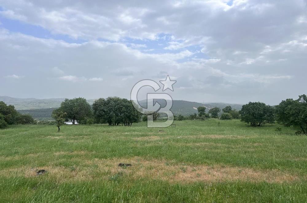 BALIKESİR İVRİNDİ GÖKÇEYAZI'DA HARİKA LOKASYONDA TARLA! 15.950m2