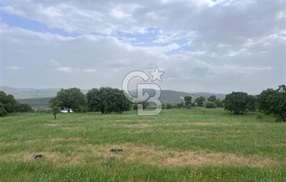 BALIKESİR İVRİNDİ GÖKÇEYAZI'DA HARİKA LOKASYONDA TARLA! 15.950m2