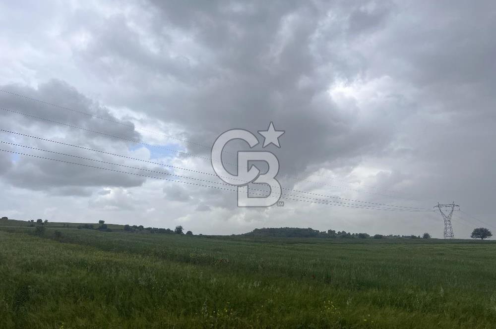 BALIKESİR KARESİ NAİPLİ'DE YOLA CEPHE, EMSALSİZ TARLA! 21.330 m2