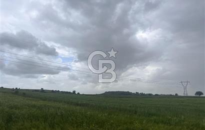 BALIKESİR KARESİ NAİPLİ'DE YOLA CEPHE, EMSALSİZ TARLA! 21.330 m2