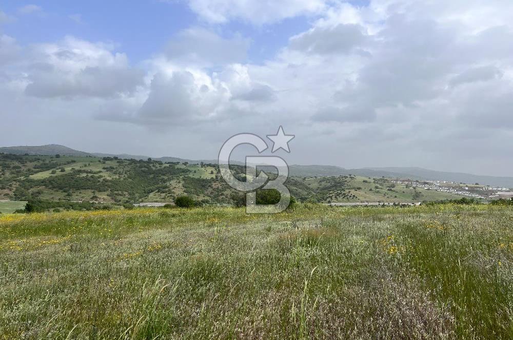 BALIKESİR ALTIEYLÜL DEREKÖY'DE KADASTRO YOLU OLAN TARLA! 7.593M2