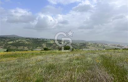 BALIKESİR ALTIEYLÜL DEREKÖY'DE KADASTRO YOLU OLAN TARLA! 7.593M2