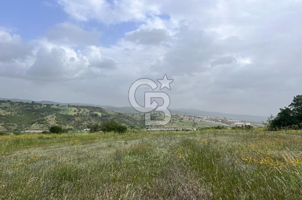 BALIKESİR ALTIEYLÜL DEREKÖY'DE KADASTRO YOLU OLAN TARLA! 7.593M2