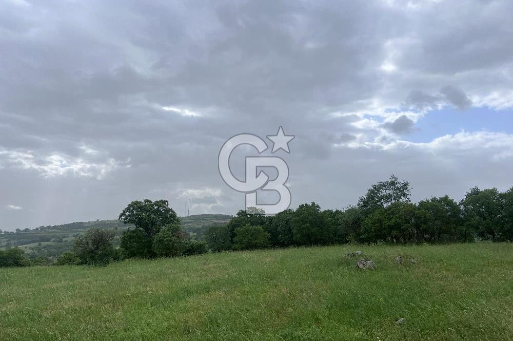 BALIKESİR İVRİNDİ GÖKÇEYAZI'DA HARİKA LOKASYONDA TARLA! 15.950m2