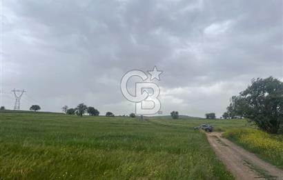 BALIKESİR KARESİ NAİPLİ'DE YOLA CEPHE, EMSALSİZ TARLA! 21.330 m2