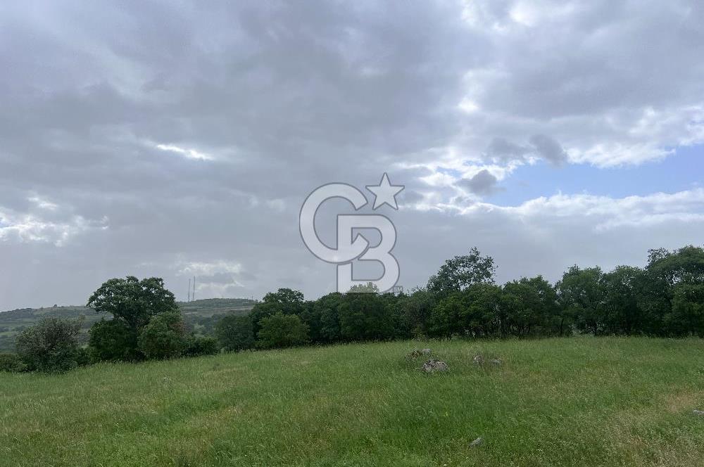 BALIKESİR İVRİNDİ GÖKÇEYAZI'DA HARİKA LOKASYONDA TARLA! 15.950m2