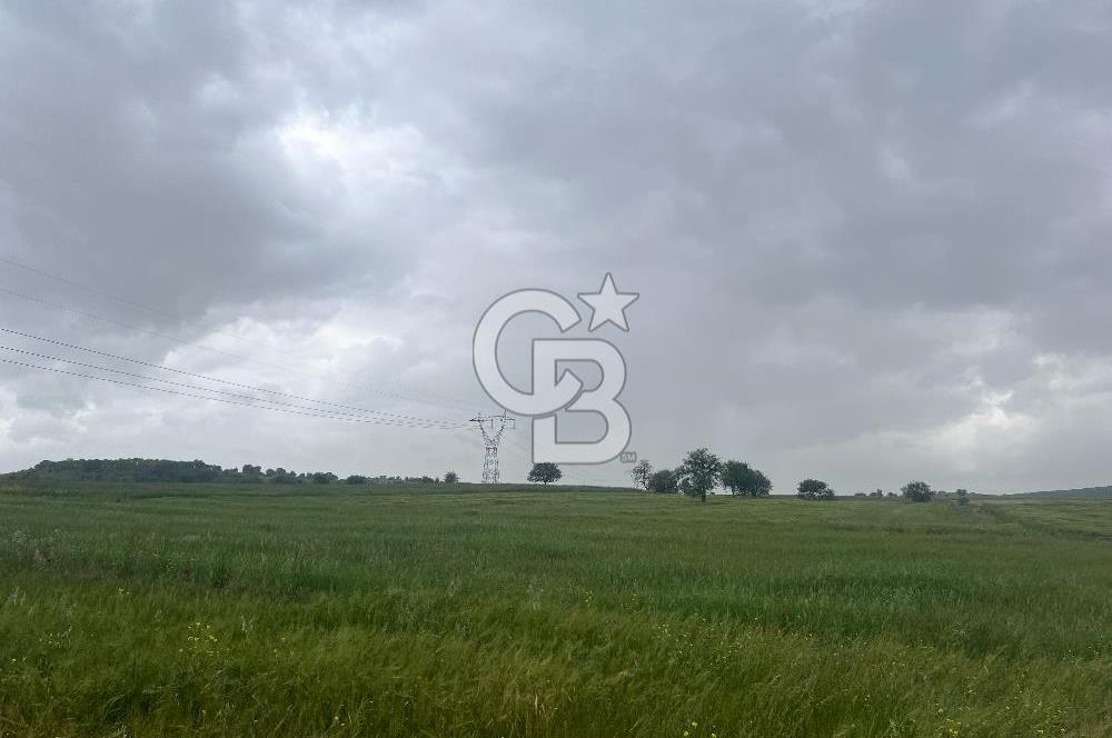 BALIKESİR KARESİ NAİPLİ'DE YOLA CEPHE, EMSALSİZ TARLA! 21.330 m2