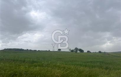 BALIKESİR KARESİ NAİPLİ'DE YOLA CEPHE, EMSALSİZ TARLA! 21.330 m2
