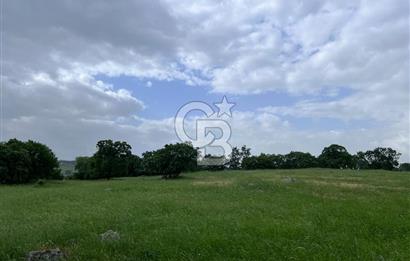 BALIKESİR İVRİNDİ GÖKÇEYAZI'DA HARİKA LOKASYONDA TARLA! 15.950m2