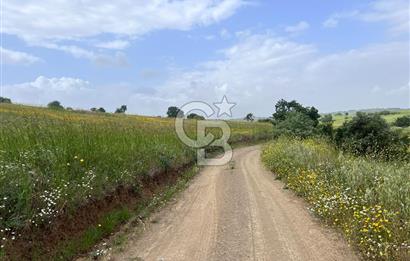 BALIKESİR ALTIEYLÜL DEREKÖY'DE KADASTRO YOLU OLAN TARLA! 7.593M2