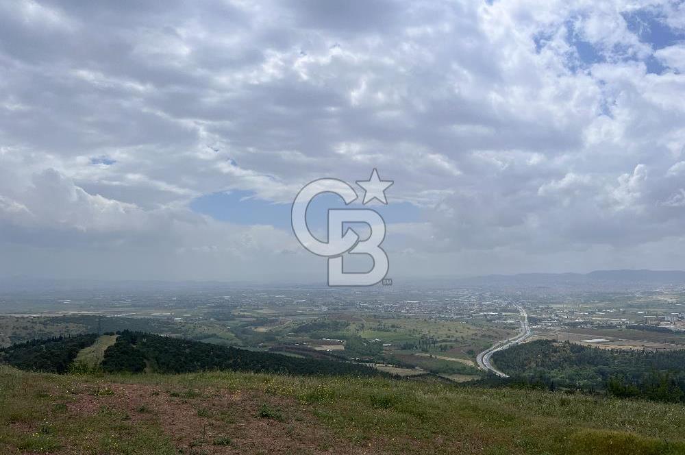 BALIKESİR ALTIEYLÜL AYVATLAR'DA MUHTEŞEM MANZARALI TARLA! 8563m2