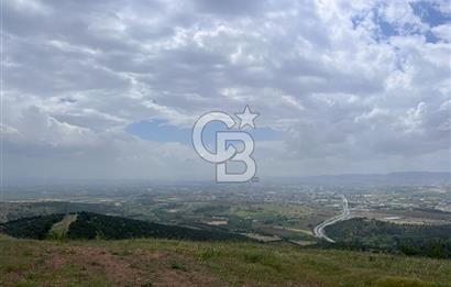 BALIKESİR ALTIEYLÜL AYVATLAR'DA MUHTEŞEM MANZARALI TARLA! 8563m2