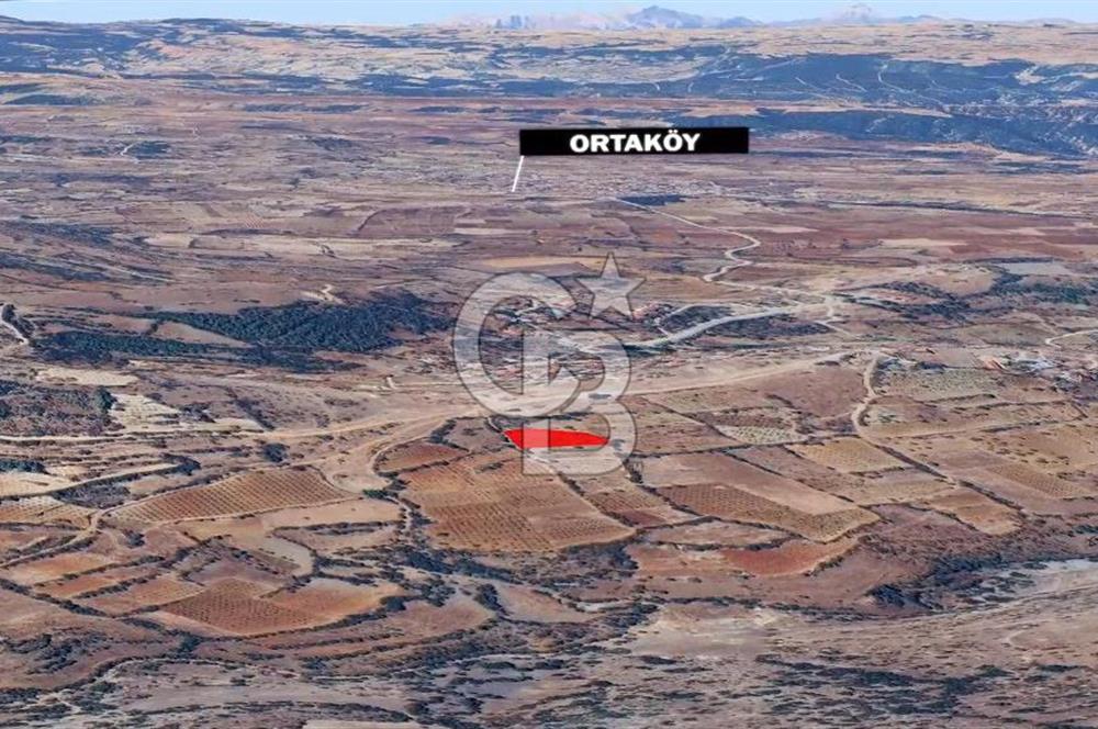 DENİZLİ BAHADINLAR  KÖYÜNDE  SATILIK  TARIM ARAZİSİ