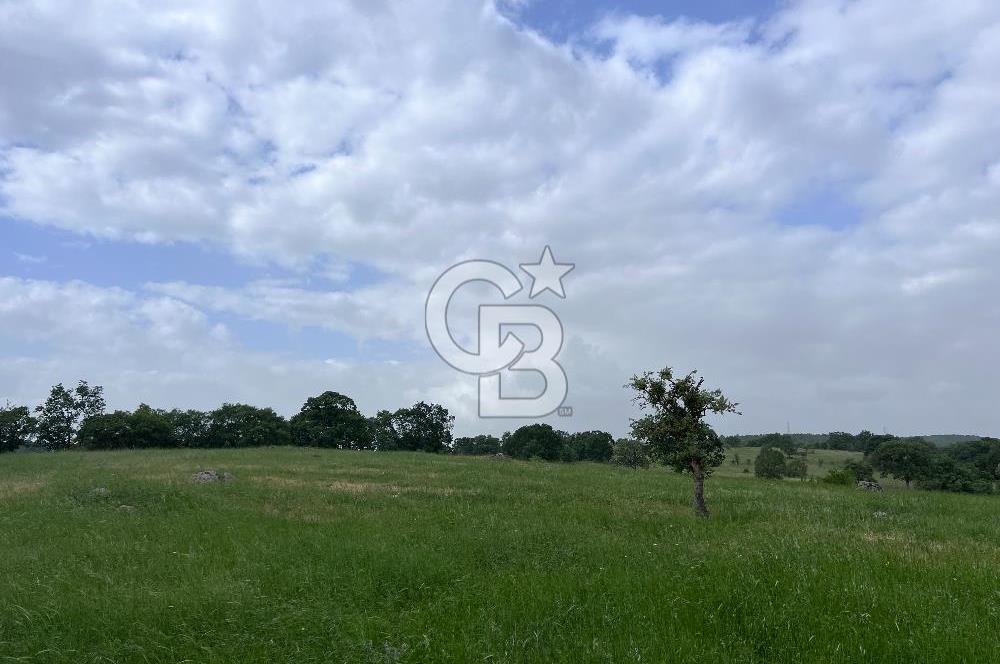 BALIKESİR İVRİNDİ GÖKÇEYAZI'DA HARİKA LOKASYONDA TARLA! 15.950m2