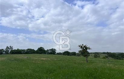 BALIKESİR İVRİNDİ GÖKÇEYAZI'DA HARİKA LOKASYONDA TARLA! 15.950m2