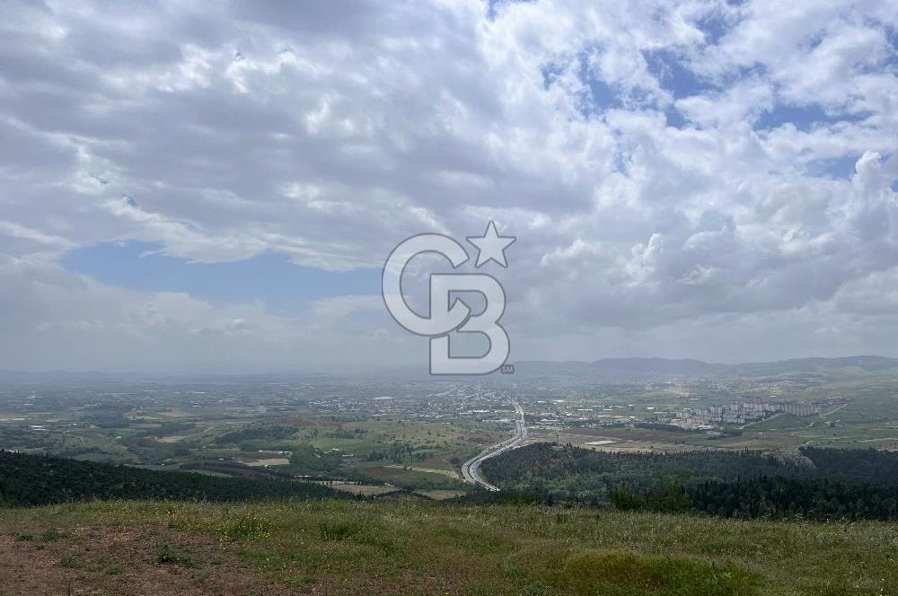 BALIKESİR ALTIEYLÜL AYVATLAR'DA MUHTEŞEM MANZARALI TARLA! 8563m2