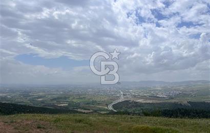 BALIKESİR ALTIEYLÜL AYVATLAR'DA MUHTEŞEM MANZARALI TARLA! 8563m2