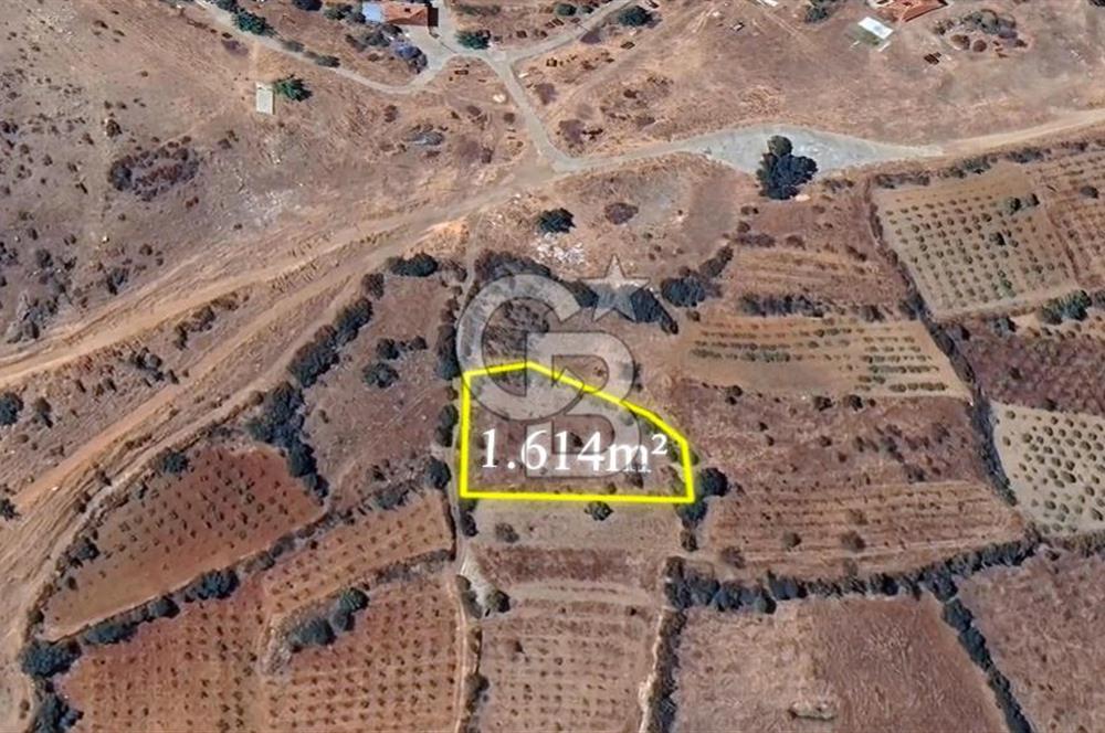 DENİZLİ BAHADINLAR  KÖYÜNDE  SATILIK  TARIM ARAZİSİ
