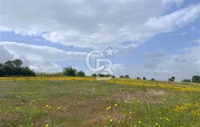 BALIKESİR ALTIEYLÜL DEREKÖY'DE KADASTRO YOLU OLAN TARLA! 7.593M2