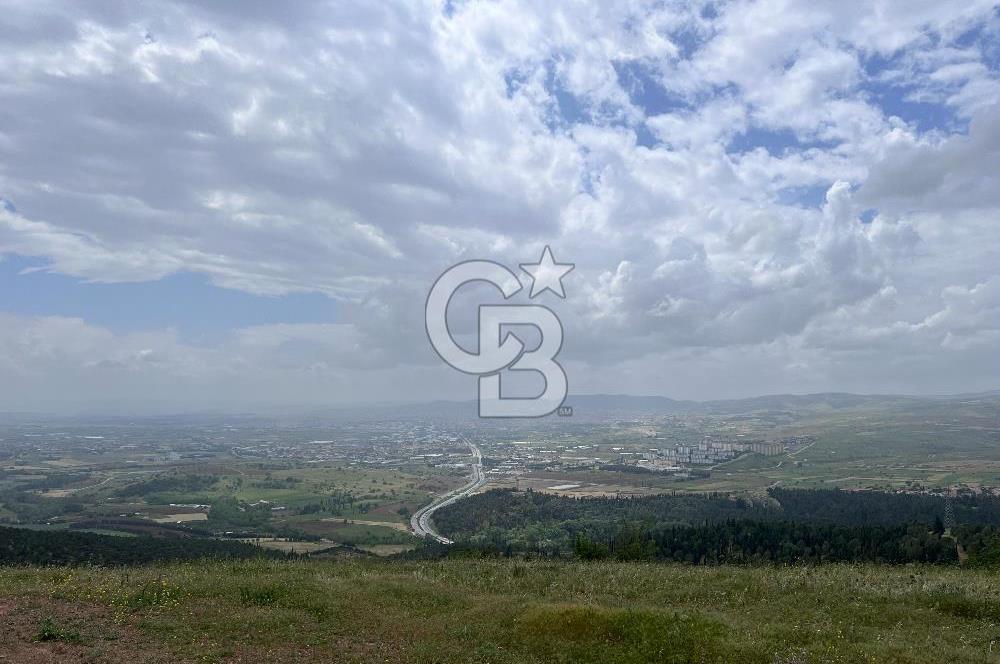 BALIKESİR ALTIEYLÜL AYVATLAR'DA MUHTEŞEM MANZARALI TARLA! 8563m2