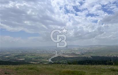 BALIKESİR ALTIEYLÜL AYVATLAR'DA MUHTEŞEM MANZARALI TARLA! 8563m2