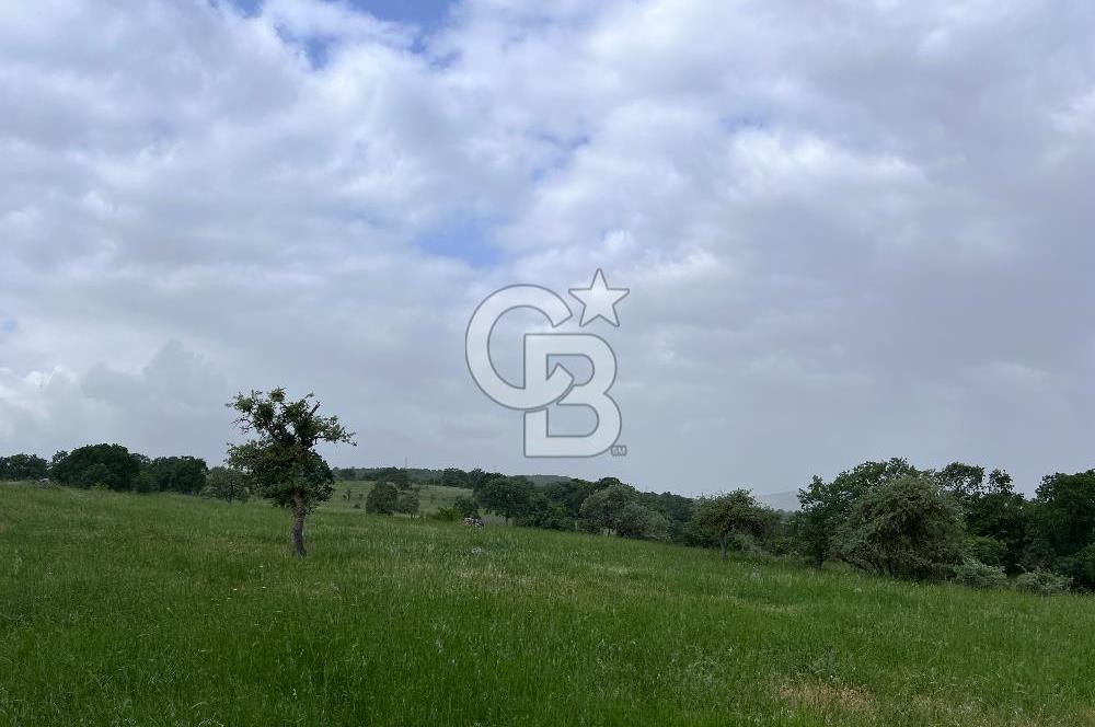 BALIKESİR İVRİNDİ GÖKÇEYAZI'DA HARİKA LOKASYONDA TARLA! 15.950m2