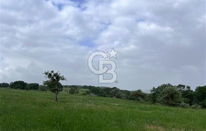 BALIKESİR İVRİNDİ GÖKÇEYAZI'DA HARİKA LOKASYONDA TARLA! 15.950m2